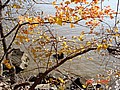 20061104_0946_226.JPG