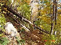 20061104_0950_231.JPG