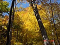 20061104_0953_233.JPG