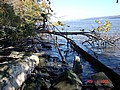 20061104_1017_277.JPG