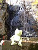 20061104_1021_287.JPG