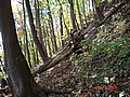 20061104_1037_311.JPG