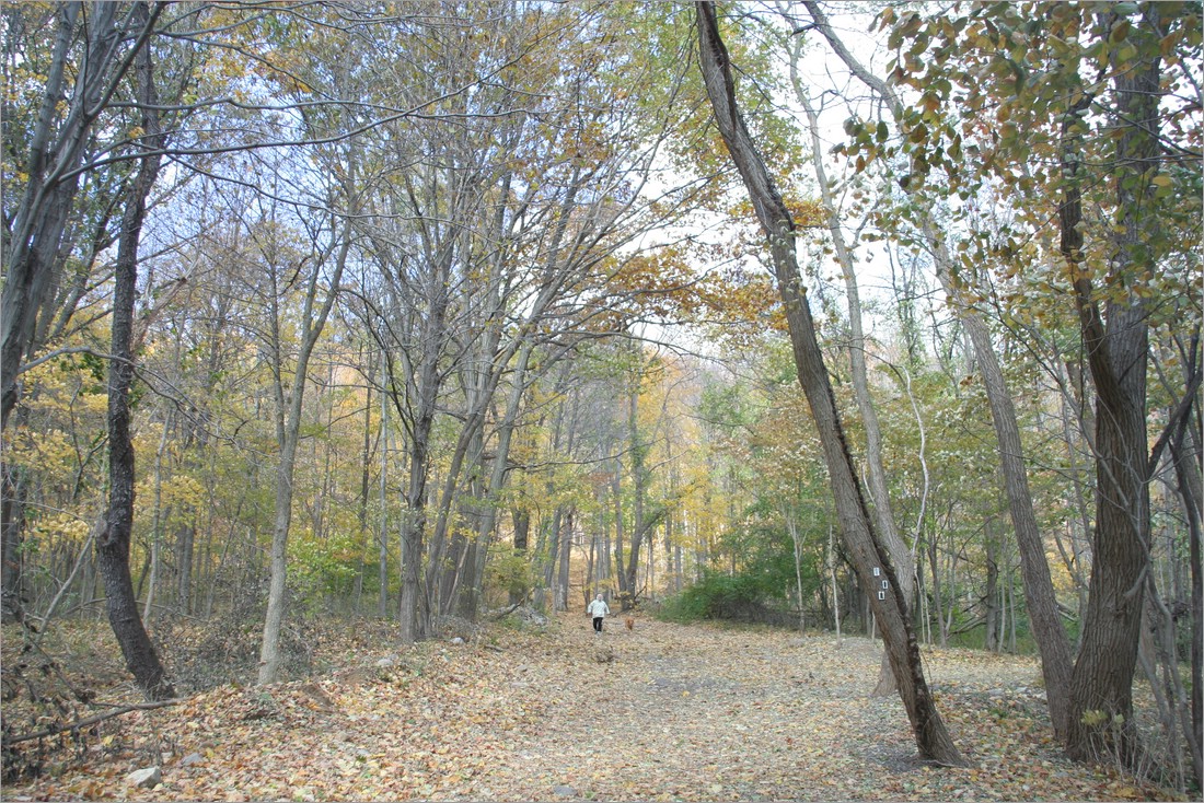 20061029__1153_008.JPG