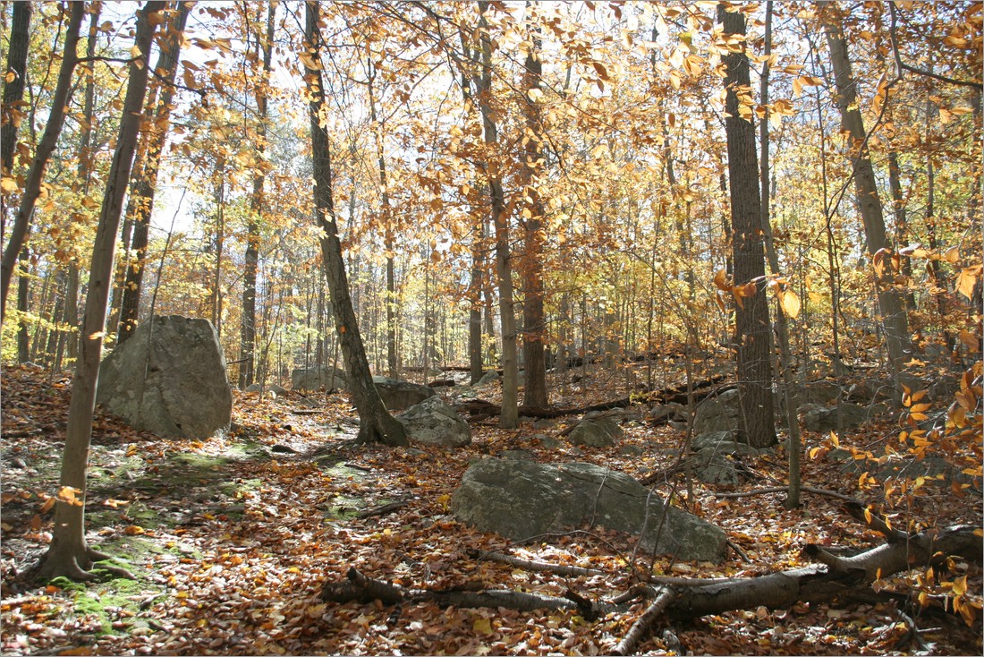 20061029__1241_049.JPG