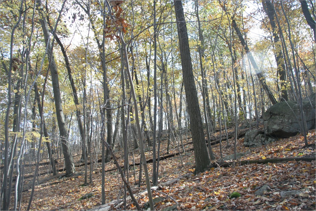 20061029__1409_093.JPG