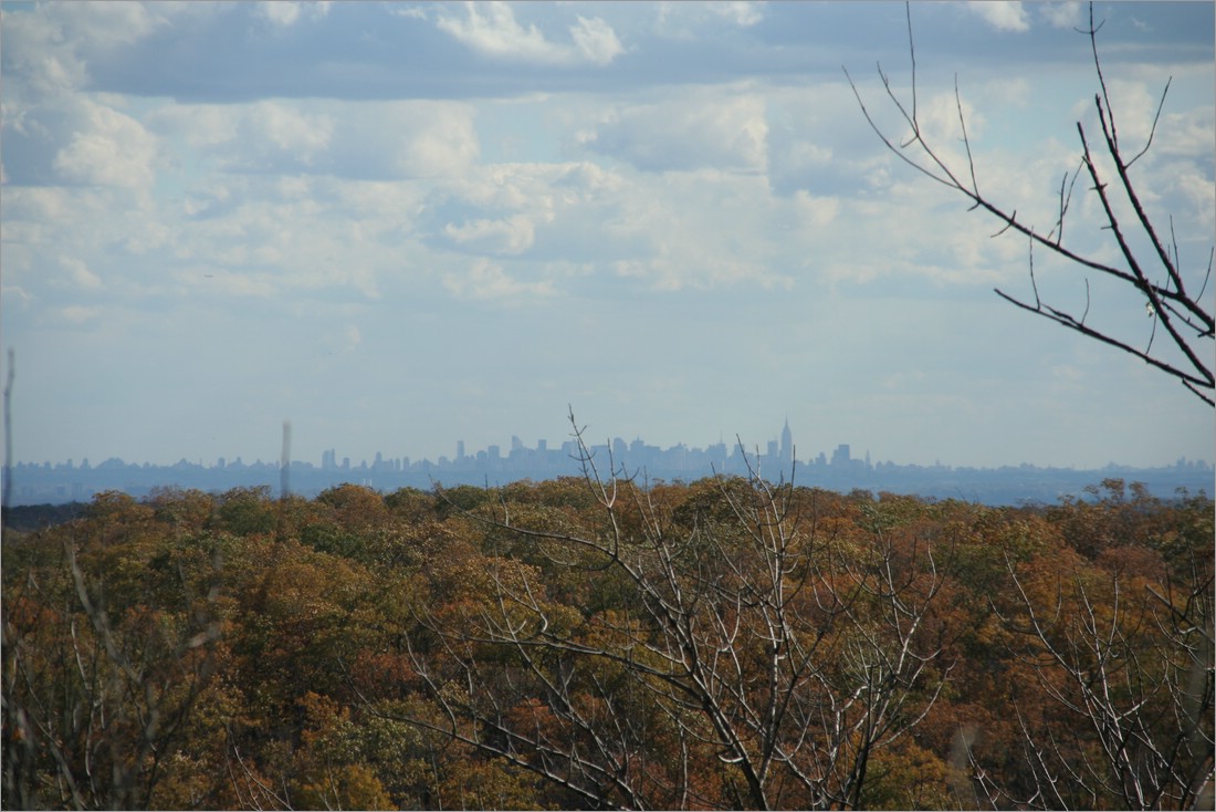 20061029__1415_100.JPG