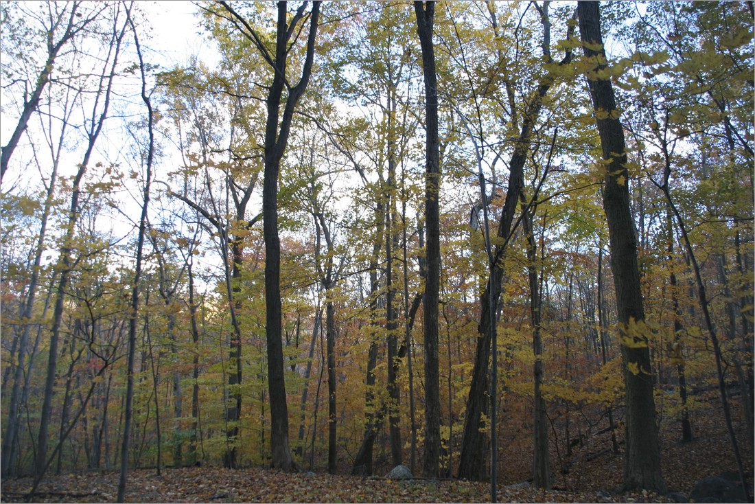 20061029__1518_128.JPG