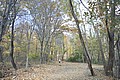 20061029__1153_008.JPG