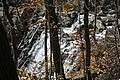 20061029__1200_013.JPG