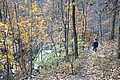 20061029__1201_015.JPG
