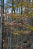 20061029__1202_016.JPG