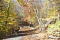 20061029__1207_017.JPG