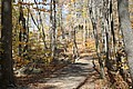 20061029__1210_019.JPG