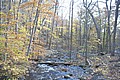 20061029__1210_020.JPG