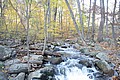 20061029__1211_022.JPG