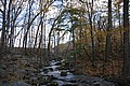 20061029__1212_024.JPG