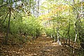 20061029__1221_037.JPG