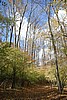 20061029__1223_039.JPG