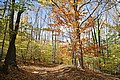 20061029__1227_044.JPG