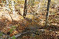 20061029__1230_045.JPG