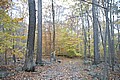 20061029__1232_046.JPG