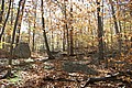 20061029__1241_049.JPG