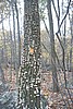 20061029__1250_054.JPG