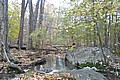20061029__1253_055.JPG