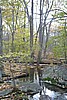 20061029__1253_056.JPG