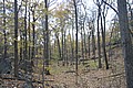20061029__1256_057.JPG