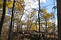 20061029__1305_059.JPG