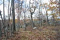 20061029__1333_060.JPG