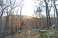 20061029__1334_061.JPG
