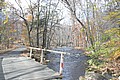 20061029__1337_062.JPG