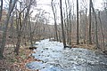 20061029__1338_064.JPG