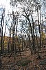 20061029__1339_065.JPG