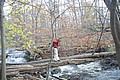 20061029__1341_066.JPG