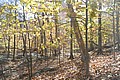 20061029__1348_078.JPG