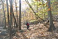 20061029__1348_079.JPG