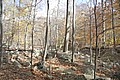 20061029__1349_080.JPG