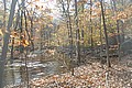 20061029__1349_081.JPG