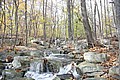20061029__1356_086.JPG