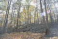 20061029__1406_090.JPG
