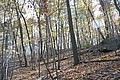 20061029__1409_093.JPG