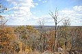 20061029__1415_098.JPG