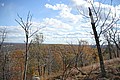 20061029__1415_099.JPG