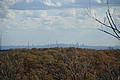 20061029__1415_100.JPG