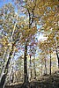 20061029__1450_112.JPG