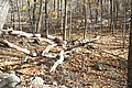 20061029__1452_113.JPG
