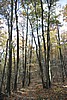 20061029__1459_114.JPG